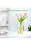 Clear Glass Bubble Flower Vase, Hand-Blown Hollow Double-Structure Vase - 3