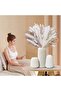 Beige Ceramic Vase - Set of 3 (Nordic Minimalist) - 2