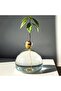 Avocado Vase - Seed Starter, Clear Avocado Tree Growing Kit Planter Pot - 2