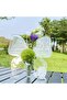 Clear Acrylic Butterfly Vase - Butterfly-Shaped Single Flower Vase (TERRIFI) - 8
