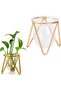 Glass Vase with Metal Stand - Gold Geometric Small Hydroponic Terrarium Vase