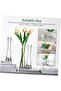 3 Pcs Nordic Style Small Glass Bud Vases (Clear) - 2