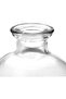 Set of 12 Small Clear Glass Ball Bud Vases - Mini Flower Vases - 3