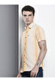 Men Orange Striped Spread Collar Shirt - 5