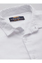 Men White Regular Fit Solid Shirt - 2