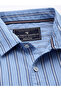 Men Blue Striped Spread Collar Shirt - 2