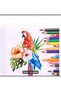 Dry Paint 24 Colored Pencils. Live Oil-Based and Water-Soluble, Professional Painting and Drawing. - 8
