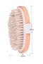 100% Natural Horsehair Cellulite Brush (Oval) That Provides a Shiny and Smooth Appearance () - 3