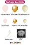 Balloon Set 90 Pieces (Pink Blush-Sea Sand-Chrome Gold) - 2