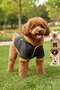 Waterproof Midnight Design Dog Coat - Small Breed Raincoat Clothing
