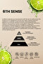 6th Sense Aroma Diffuser Oil for Scent Diffuser (500ml) - 2