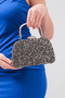 Women's Platinum Stone Evening Dress Clutch Portfolio Bag - 4