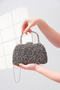Women's Platinum Stone Evening Dress Clutch Portfolio Bag - 7