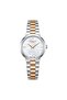 Women's Wristwatch Lc08225.520