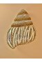 The Crystal Shell Clutch - Rhinestone Evening Clutch - 3