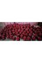 2-Pack Apple Candy Birthday, Party Celebrations, Entertainment, Festival Candy - 6