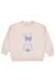 Rabbit Printed Set of 3 Sweatshirts for Ages 2-5 - Standard 5-6 Years - 2