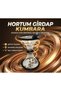 Hose Swirl Money Box: Fun and Fascinating Rotating Money Saving Box - Transparent Design - 3