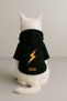 Printed Dog and Cat Clothing & Dress with Fleece Inside - Black Color K Hooded Hoodie B8122 - 3
