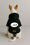 Printed Dog and Cat Clothing & Dress with Fleece Inside - Black Color K Hooded Hoodie B1F39 - 2
