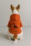 Printed Dog and Cat Clothing & Dress with Fleece Inside - Orange Color K Hooded Hoodie B2Ac0 - 2