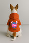 Printed Dog and Cat Clothing & Dress with Fleece Inside - Orange Color K Hooded Hoodie B1C8D - 2