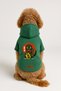 Printed Dog and Cat Outfit & Dress with Fleece Inside - Green Color K Hooded Hoodie B6Fe4 - 2