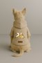 Printed Dog and Cat Clothing & Dress with Fleece Inside - Beige Color K Hooded Hoodie Be883 - 2