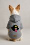 Printed Dog and Cat Clothing & Dress with Fleece Inside - Gray Color K Hooded Hoodie Bc3E5