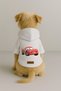 Printed Dog and Cat Clothing & Dress with Fleece Inside - White Color K Hooded Hoodie B682B - 2