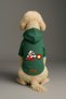 Printed Dog and Cat Clothing & Dress with Fleece Inside - Green Color K Hooded Hoodie B09E9