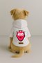 Printed Dog and Cat Clothing & Dress with Fleece Inside - White Color K Hooded Hoodie B5Bef - 2