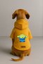 Printed Dog and Cat Clothing & Dress with Fleece Inside - Yellow Color K Hooded Hoodie B51Ff - 2