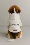 Printed Dog and Cat Clothing & Dress with Fleece Inside - White Color K Hooded Hoodie B1F28