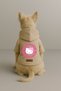 Printed Inside Fleece Dog and Cat Clothing & Dress - Beige Color K Hooded Hoodie Bf568 - 2