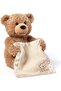 Peek A Boo Teddy Bear For kids