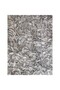 Premium Natural Whole Roasted Sunflower Seeds – 20kg Bag | High-Protein, High-Fiber Bird & Small P - 3