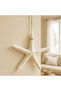 Starfish Hanging Wall Decor Coastal Themed Hanging Ornament for Home, Bathroom