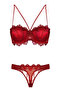 4591 Supported Lace Bra Set - 2
