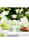 Eau de Parfum 50 ml - 5