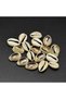 50 pc Natural Cowrie Shell Beads No Hole Pale Goldenrod 17~20x10~12x5~6mm