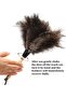 Ostrich Feather Duster Small - Premium Natural Feather Dust Brush with Plastic Handle - 3