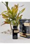 Leather Threads perfume - 2