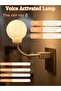 Voice Controlled Moon Night Light, 3D Moon Lamp, 3-Colour Changing LED - 3