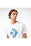 Printed Men's White T-Shirt - 4