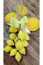 Decorative Lemon Soap Scented Room Wardrobe Fragrance Gift Handmade Yellow Lemon Soap - 2