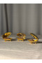 Gold Color Metal Oysters 6-Piece Coffee Soup Pot Set - 4