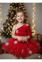 4-5 Years Old – Red Tutu Skirt Velvet One-Shoulder Crop Top Christmas Party Costume with Crystal Stone Gift - 5