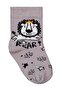 Roar 3-Piece 6-Pair Baby Boy Sock Set - Standard - 5