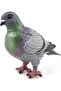 Hand-Painted Pigeon Figurine - Model 50295 - Wildlife Collectible, From 3 Years - 2